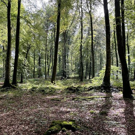 Le Courtil Vila Cerisy-la-Foret Exterior foto